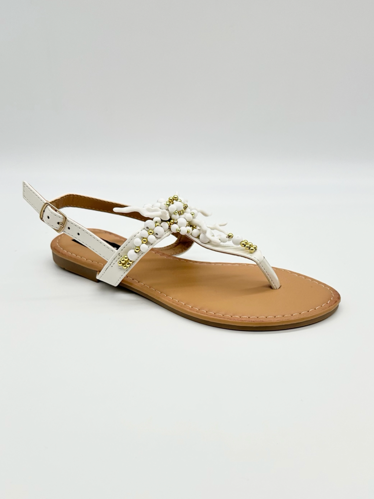 Sandali-corallo-5100-Sandali-corallo-5100